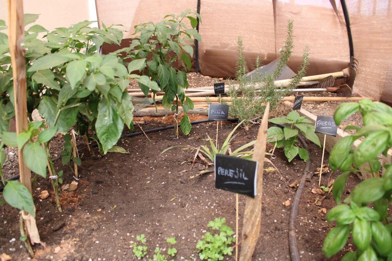 Eco Terra By Sea You There Fuerteventura 罗萨里奥港 外观 照片